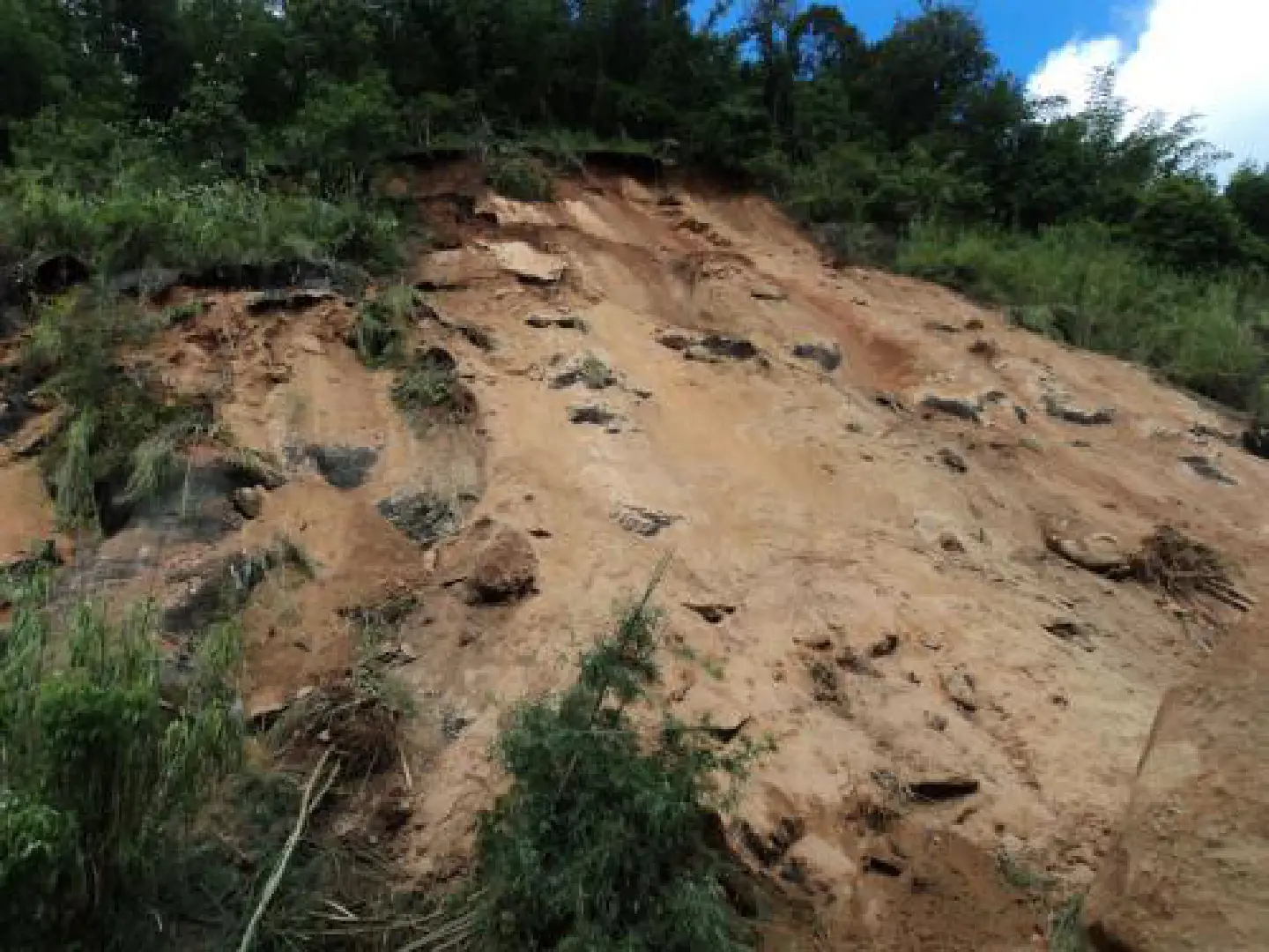 Illegal construction blamed for landslides Illegal construction blamed for landslides
