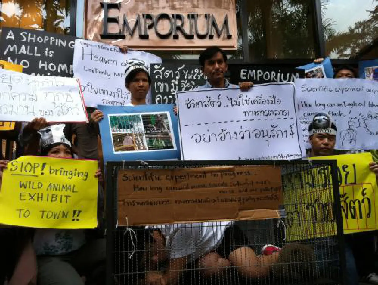 Mob against wildlife display at The Emporium Mob against wildlife display at The Emporium