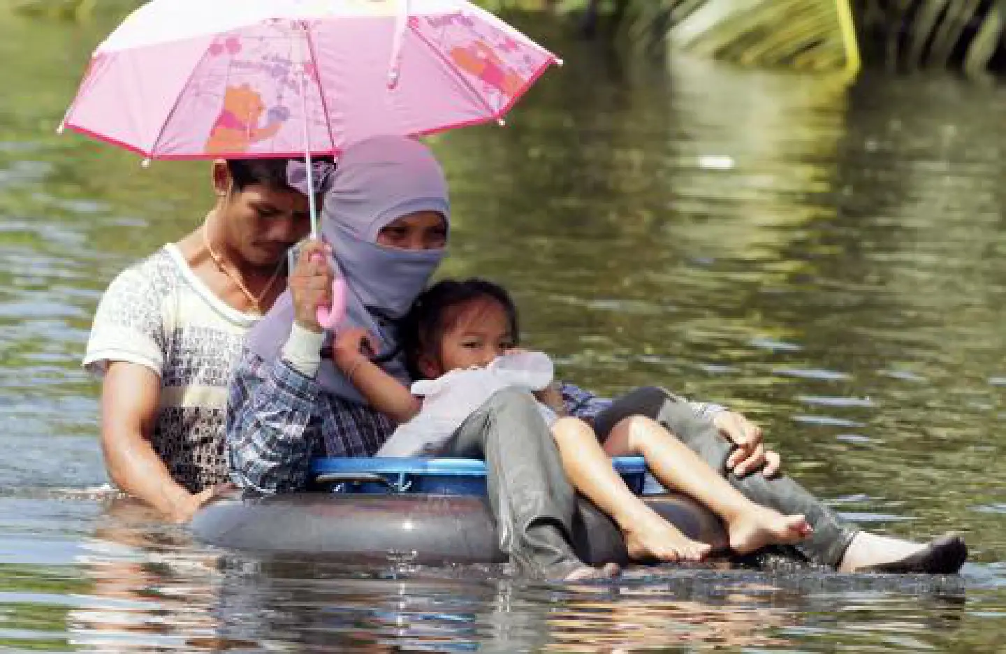 MPs wary of govt rehabilitation plan MPs wary of govt rehabilitation plan