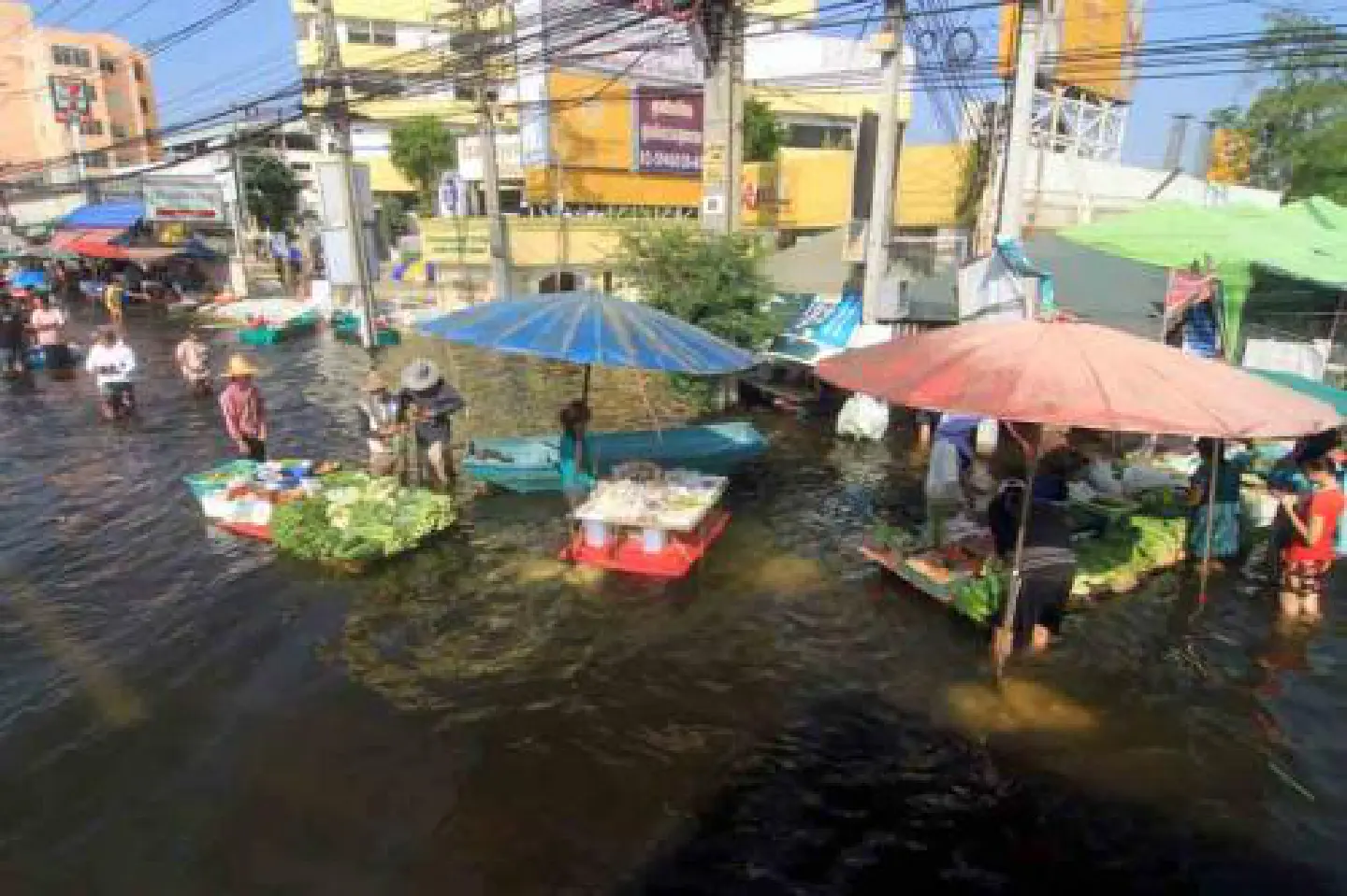 Many city canals 'illegally blocked'