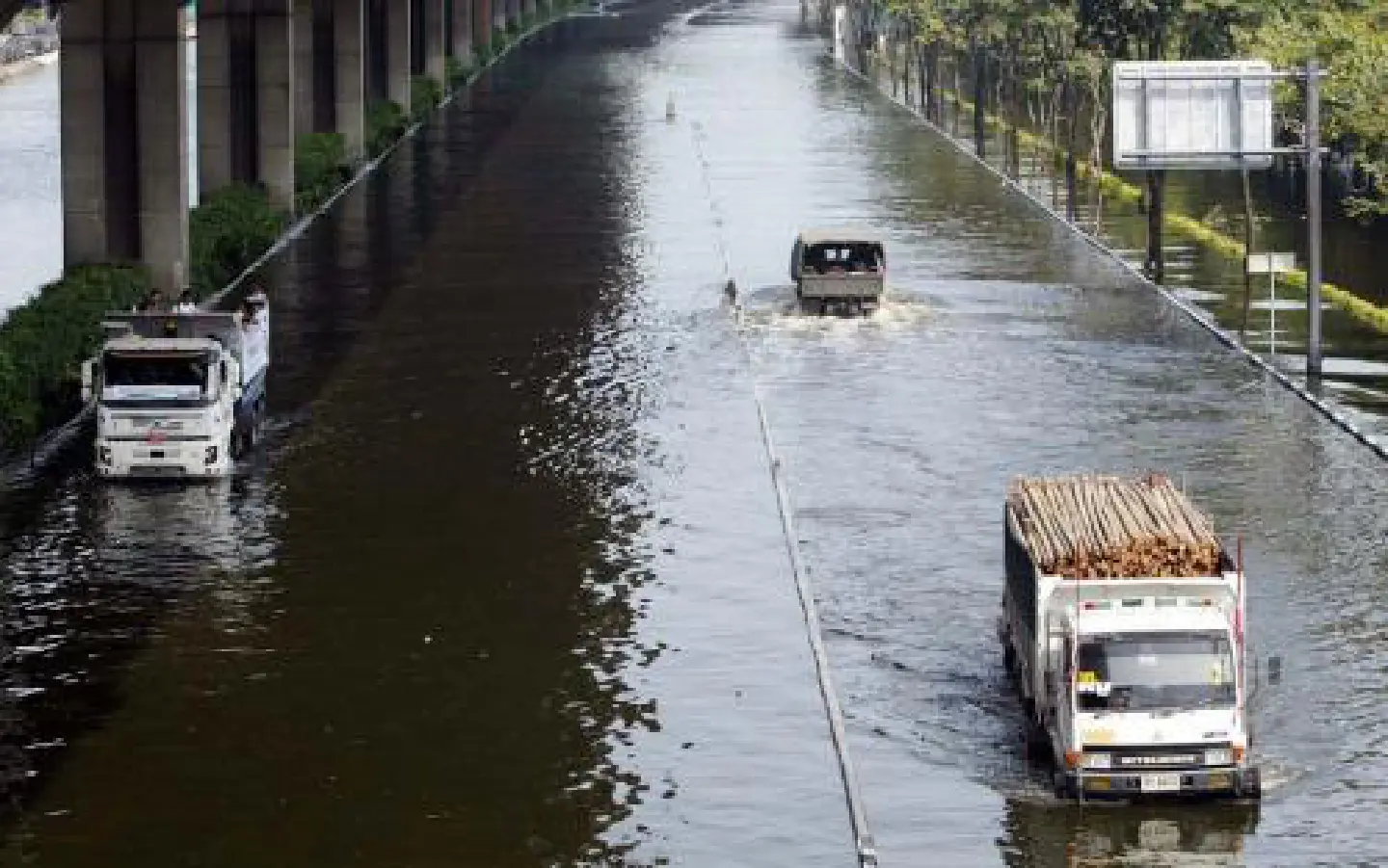 Bangkok likely to flood, water expert