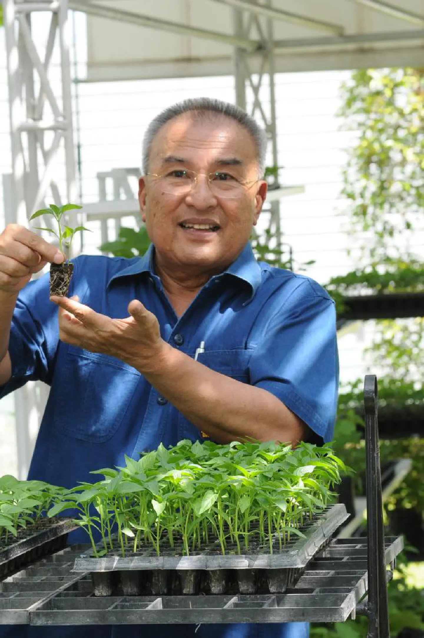 Seeds of survival Seeds of survival