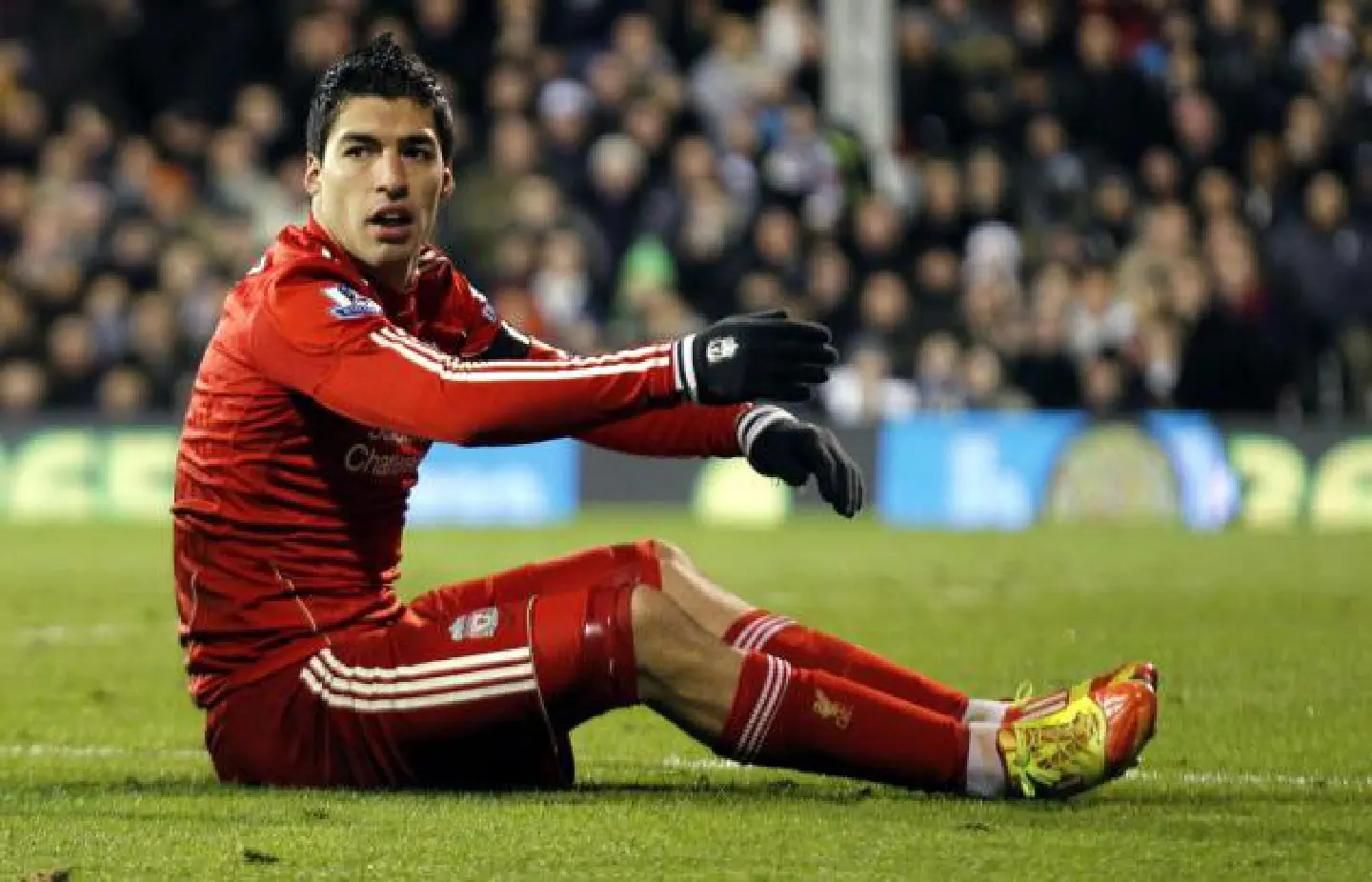 Suarez racism appeal could drag into February Suarez racism appeal could drag into February