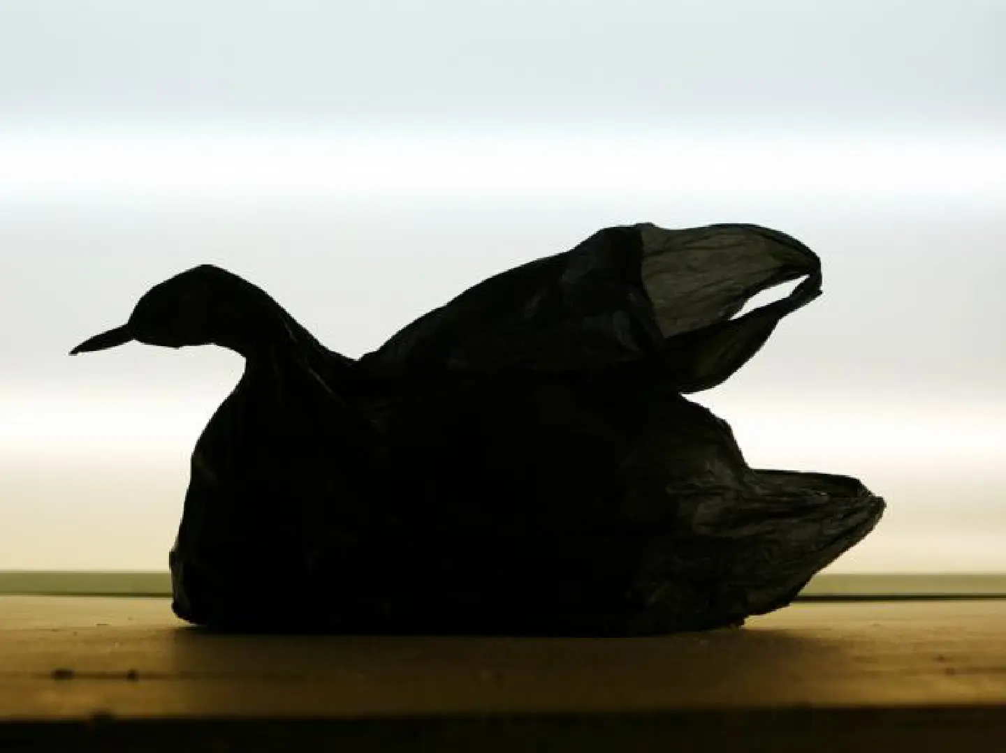 An ugly bag becomes a swan An ugly bag becomes a swan