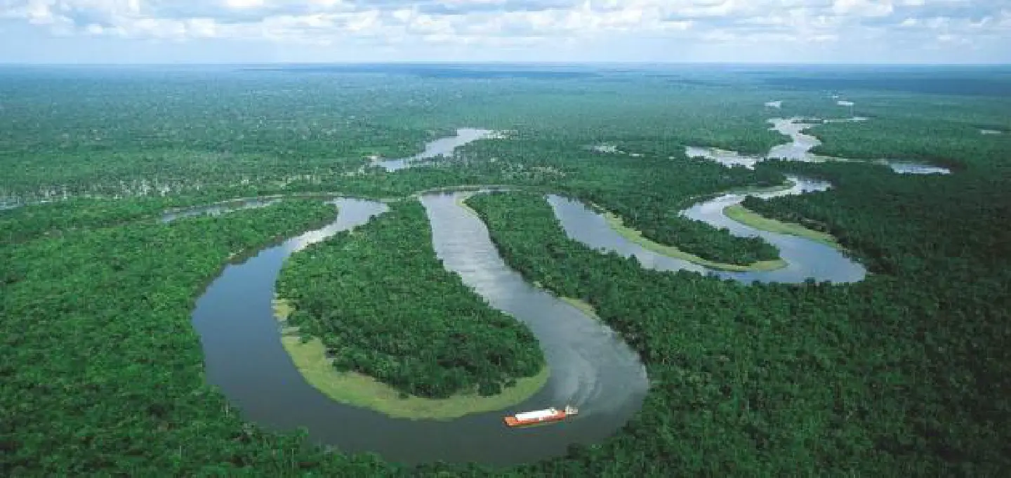 Dark doings in the Amazon Dark doings in the Amazon