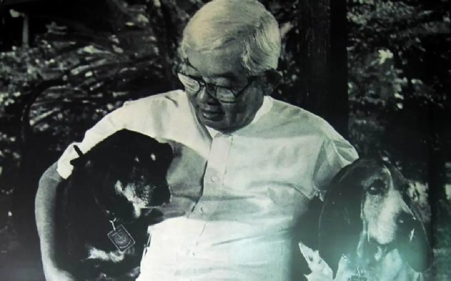 The merits of MR Kukrit