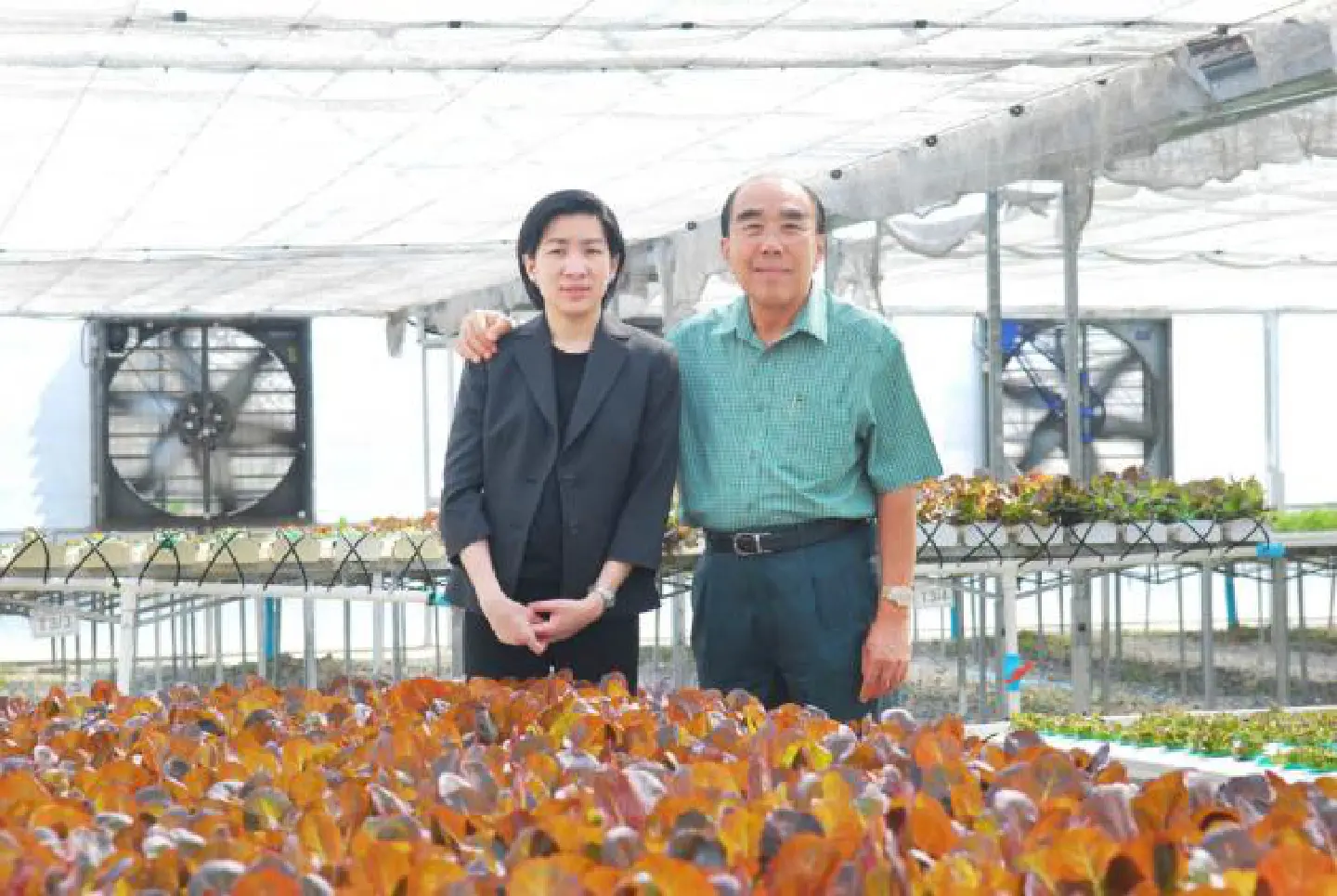 Cashing in on hydroponic vegetables Cashing in on hydroponic vegetables