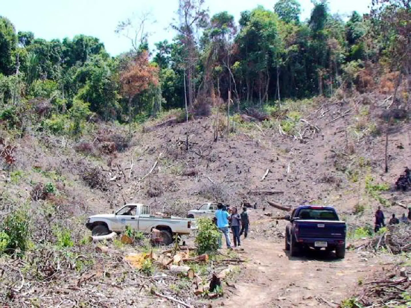 Three more sites found encroaching Three more sites found encroaching