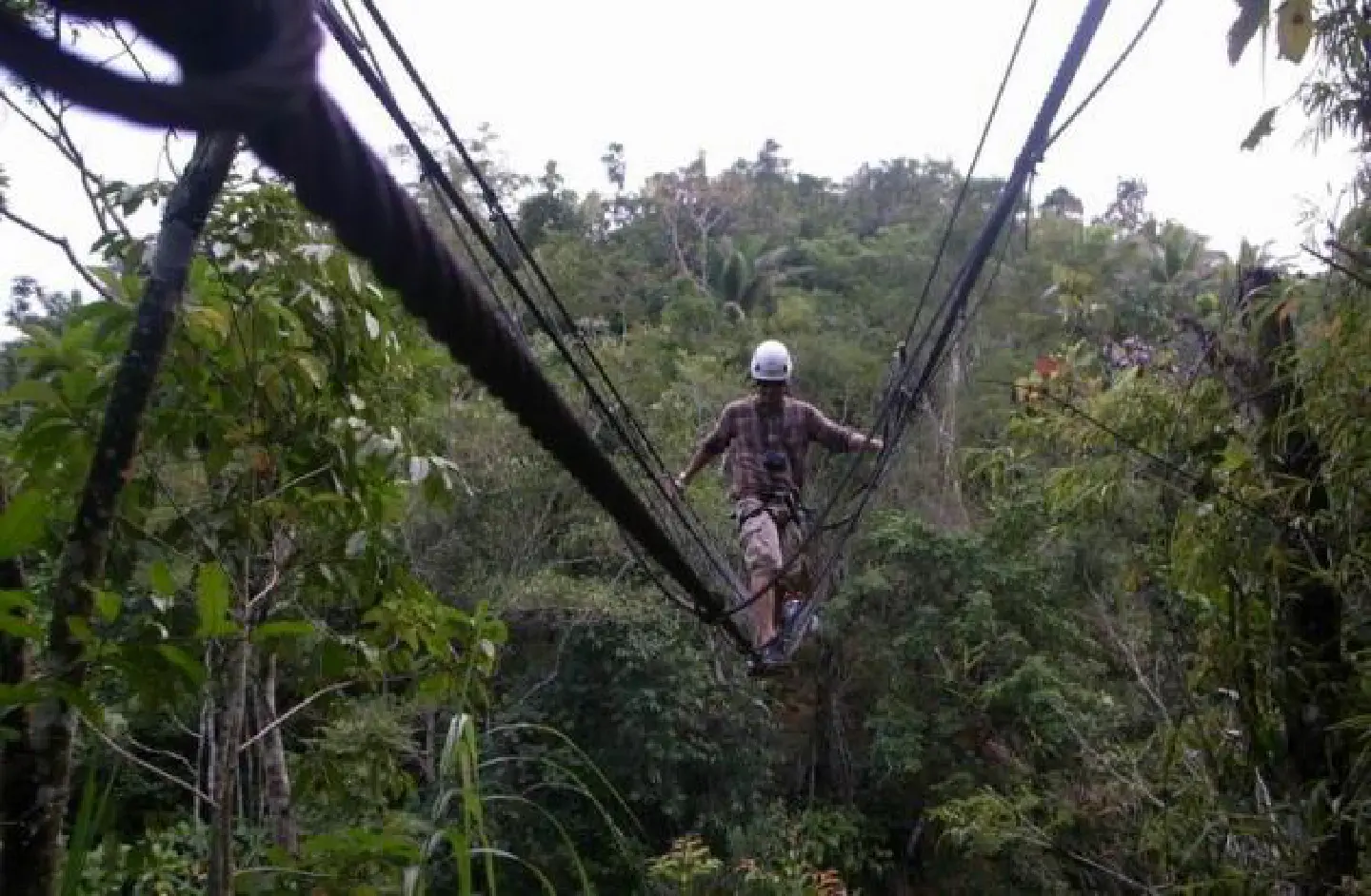 Eco-tourism -- as in fun Eco-tourism -- as in fun
