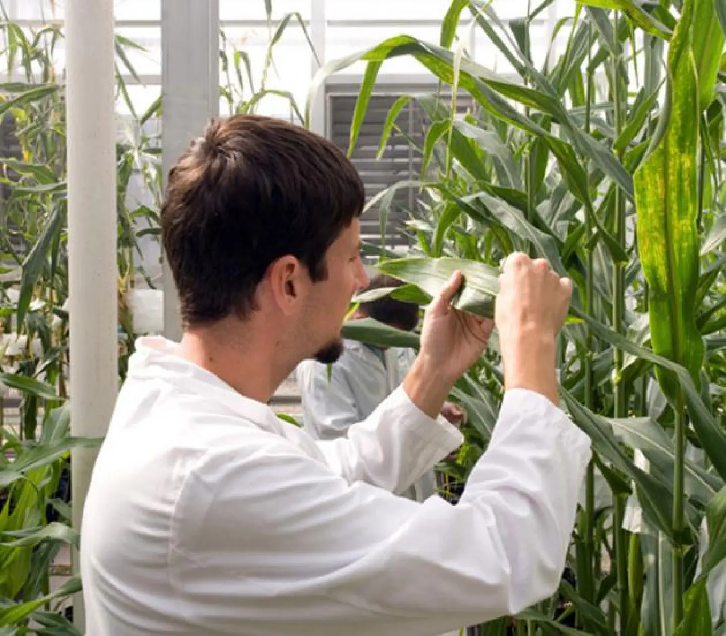 Innovations: US research triangle model touted Innovations: US research triangle model touted