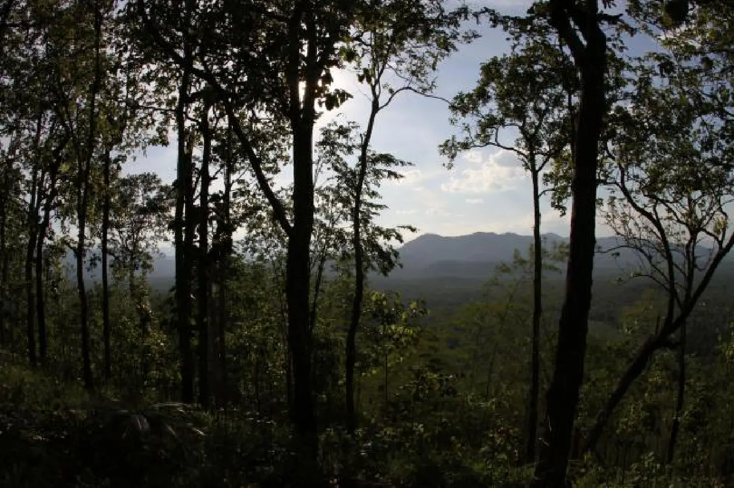 Ministry calls for yet another dam impact study