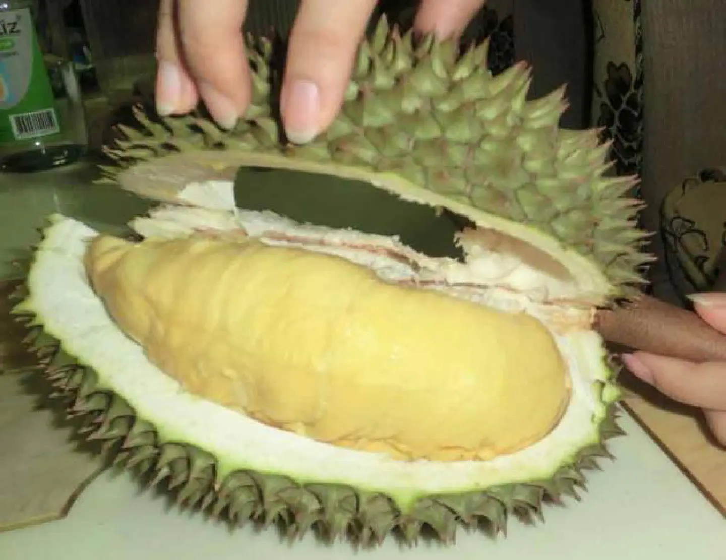 Odourless durians to hit the market