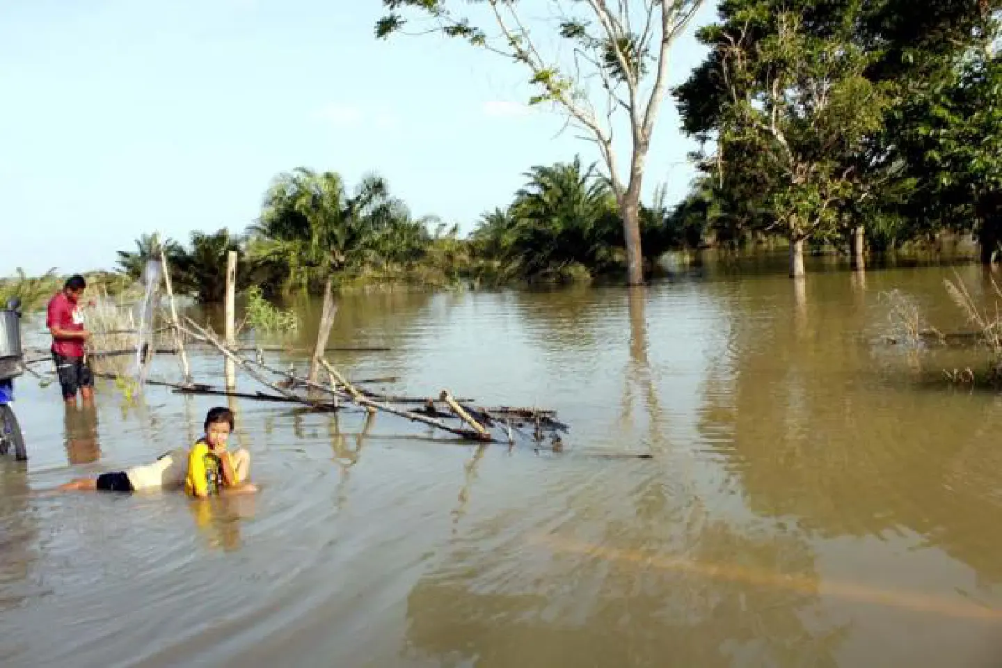 Drive runoff out to sea quickly : water adviser Drive runoff out to sea quickly : water adviser