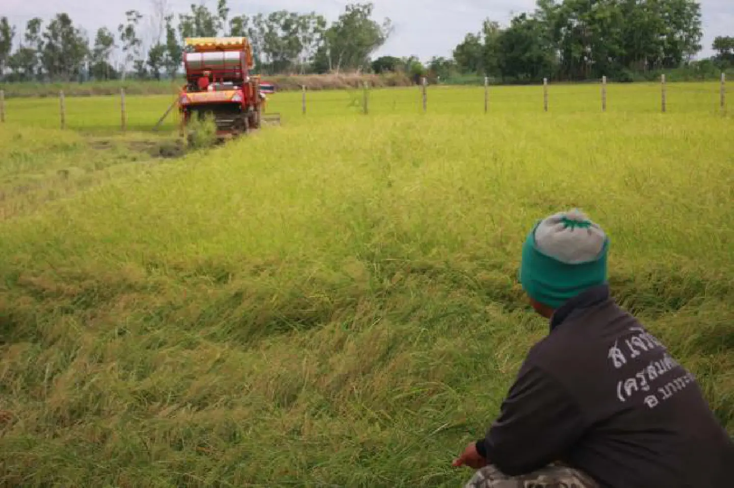 Ranong hill to be checked for cracks Ranong hill to be checked for cracks