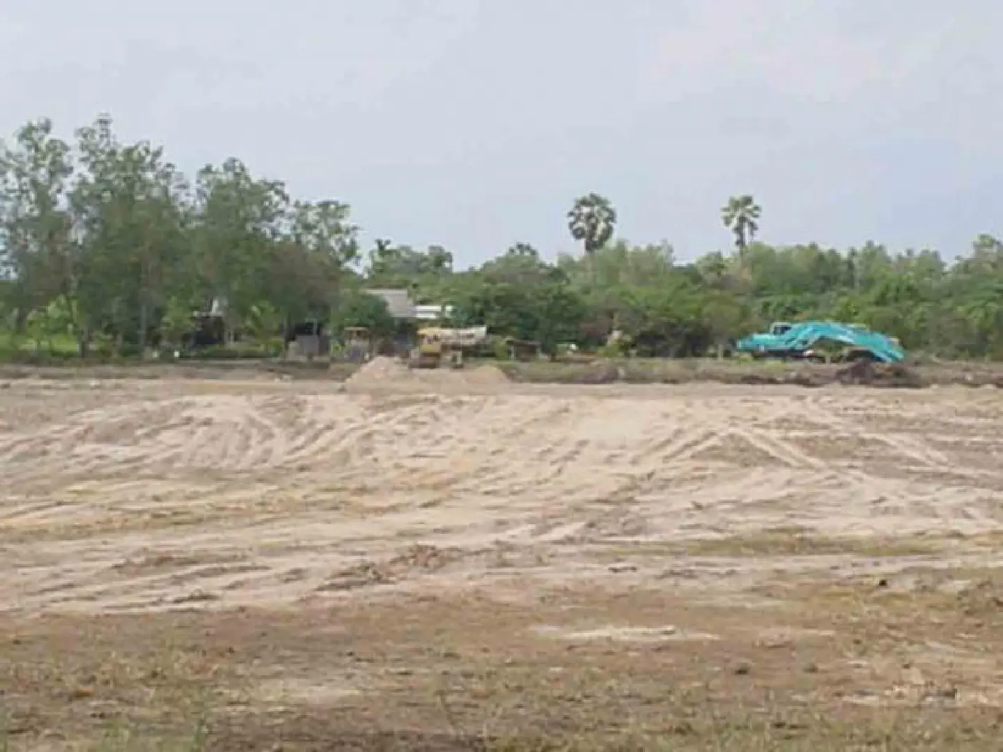 Govt to issue land deeds to mangrove encroachers Govt to issue land deeds to mangrove encroachers