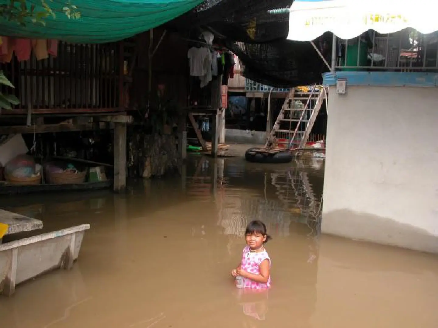Pleng's excellent flood adventure Pleng's excellent flood adventure