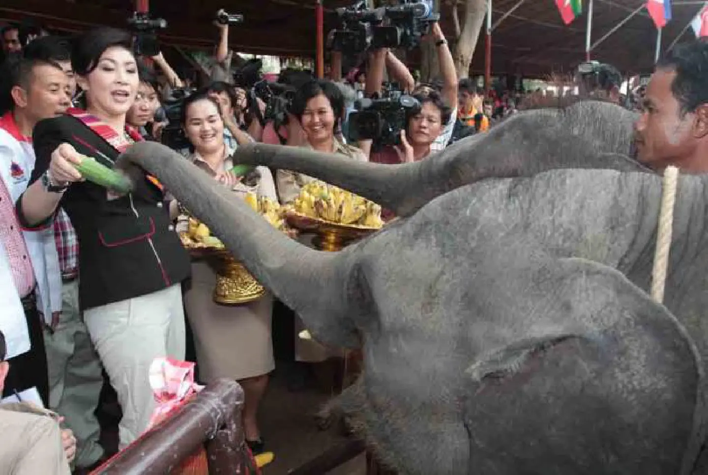 Jumbo kills man near alms offering Jumbo kills man near alms offering