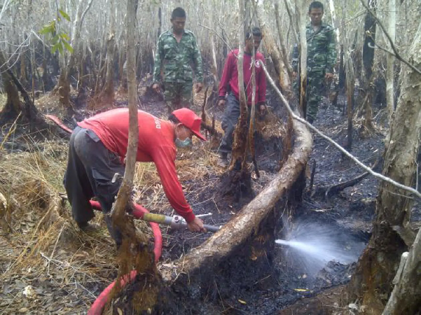 Wildfires in peat swamp prove tough to contain Wildfires in peat swamp prove tough to contain