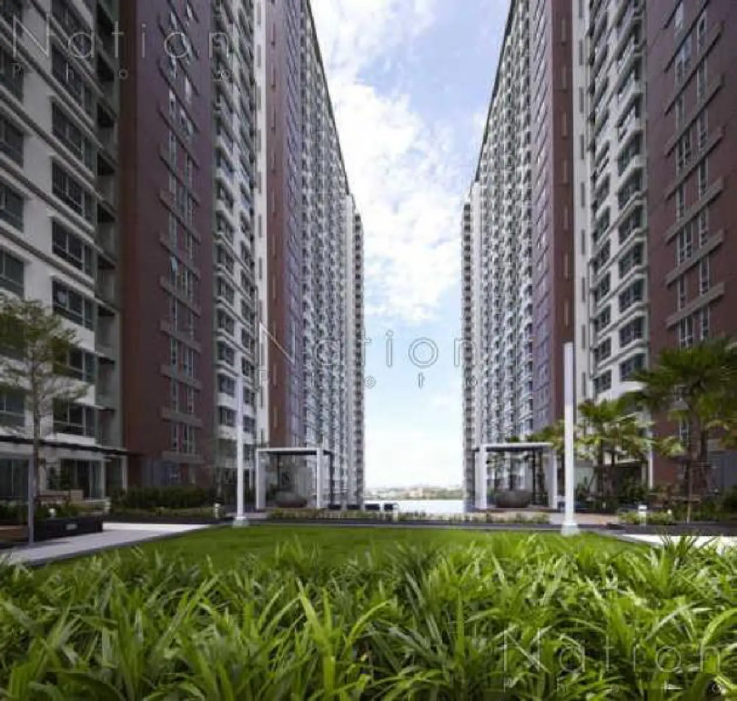 Condo revenue set to grow 56% Condo revenue set to grow 56%
