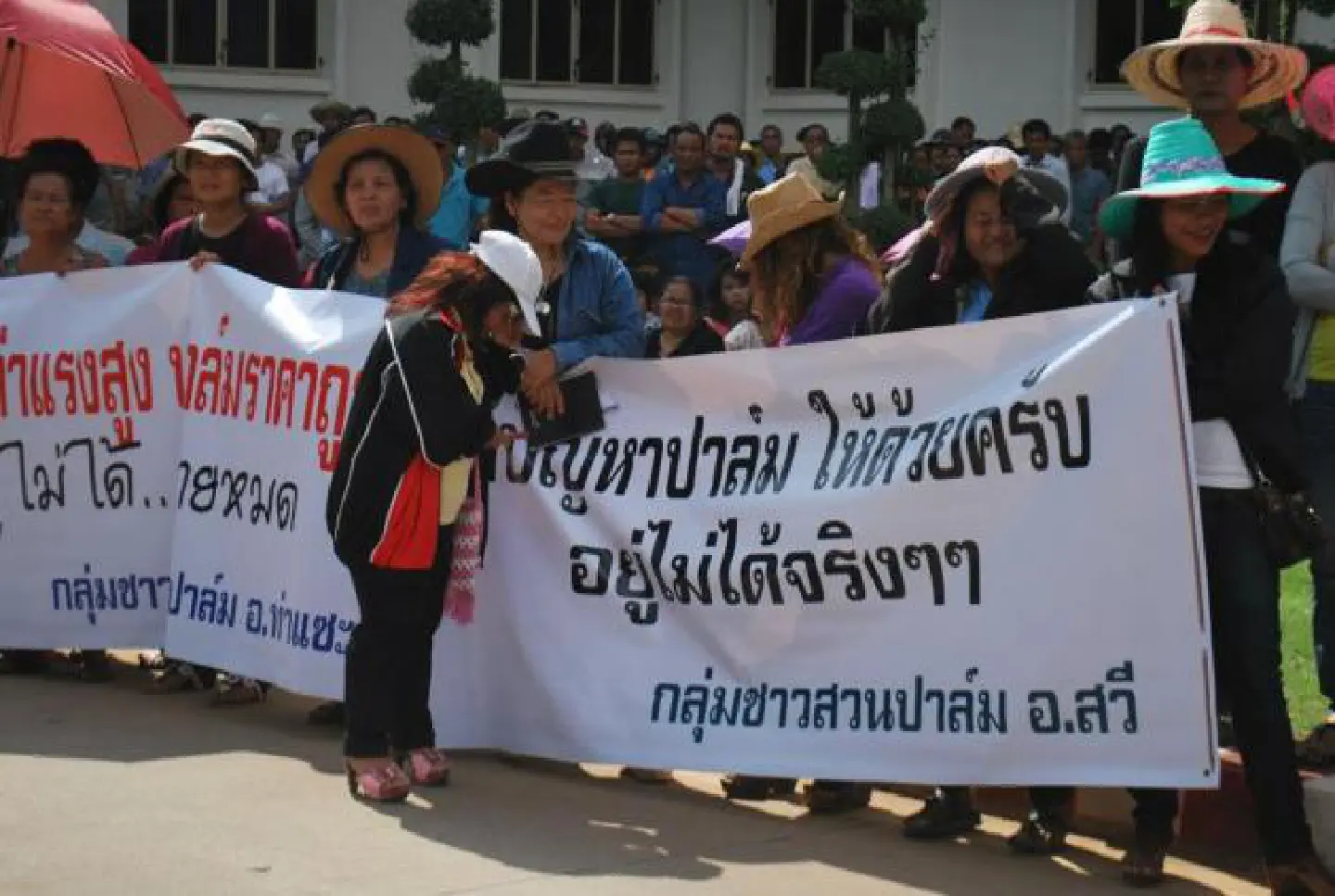 Palm-oil producers protest falling prices Palm-oil producers protest falling prices
