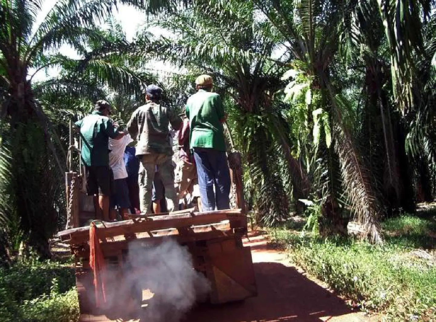 Palm growers threaten border closure Palm growers threaten border closure