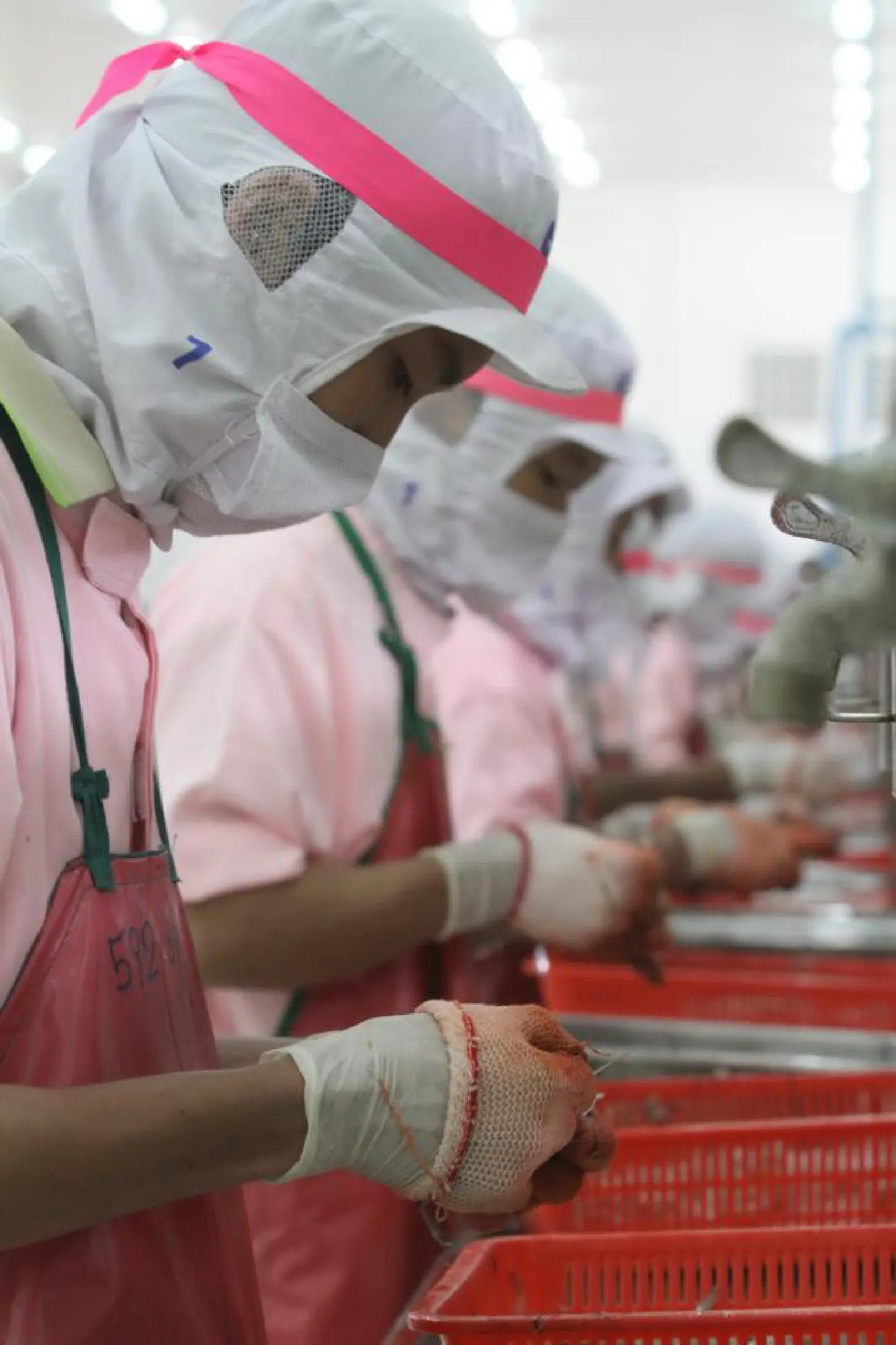 TDRI calls for rise in overall productivity TDRI calls for rise in overall productivity