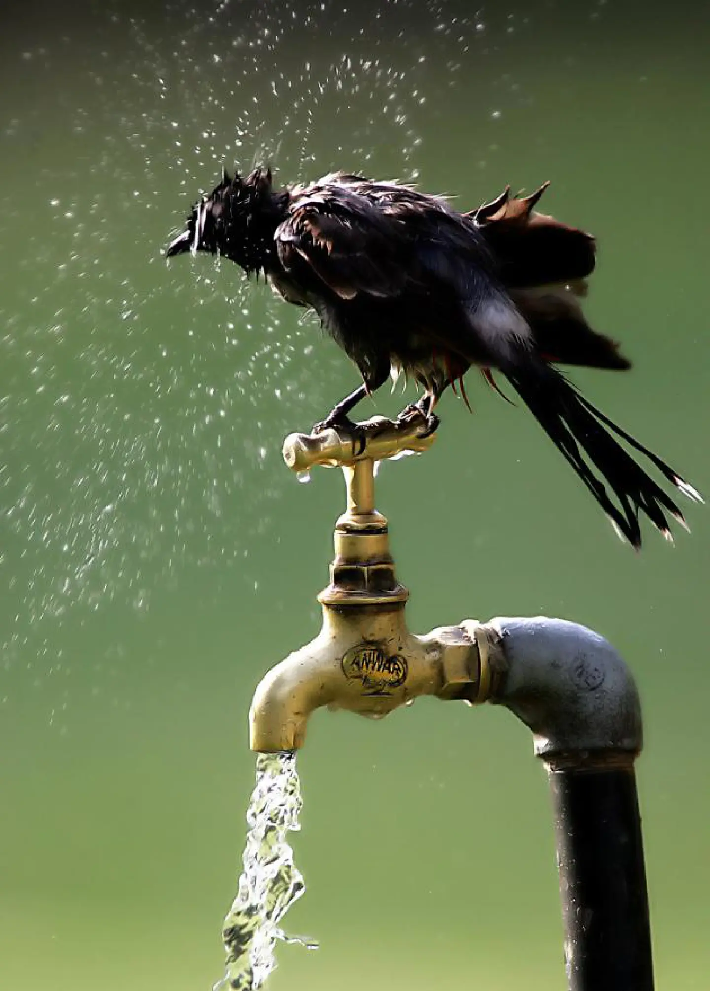 I have read that one shouldn't drink the water in Southeast Asia.