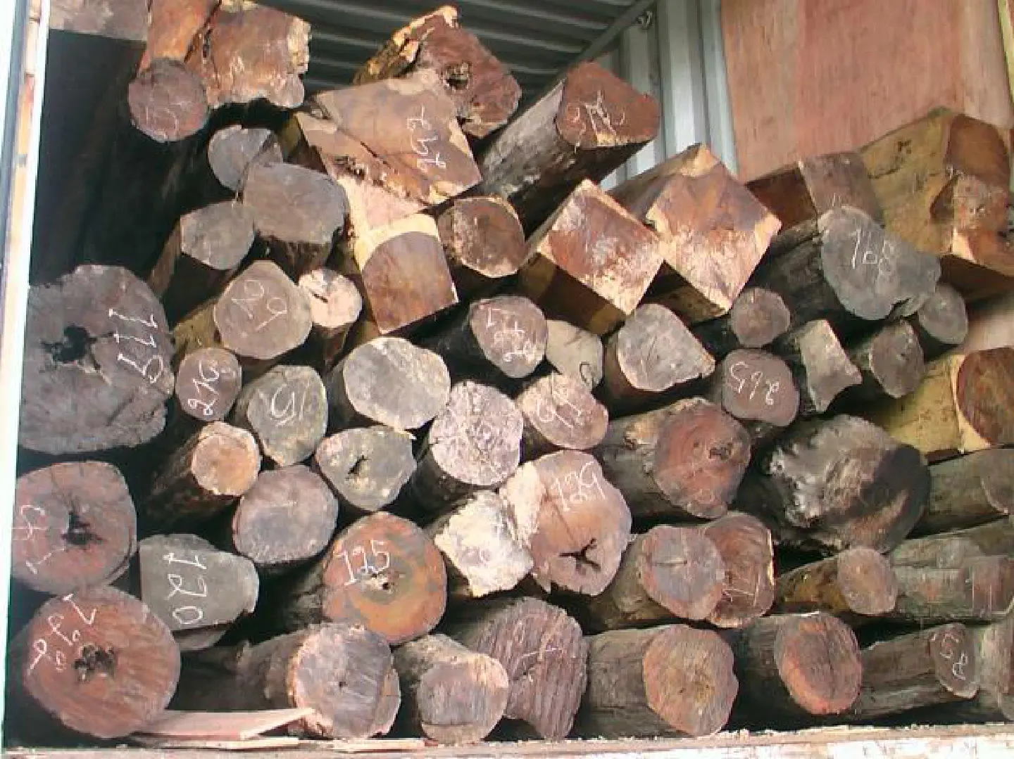 Crackdown on traders as Cites looms Crackdown on traders as Cites looms