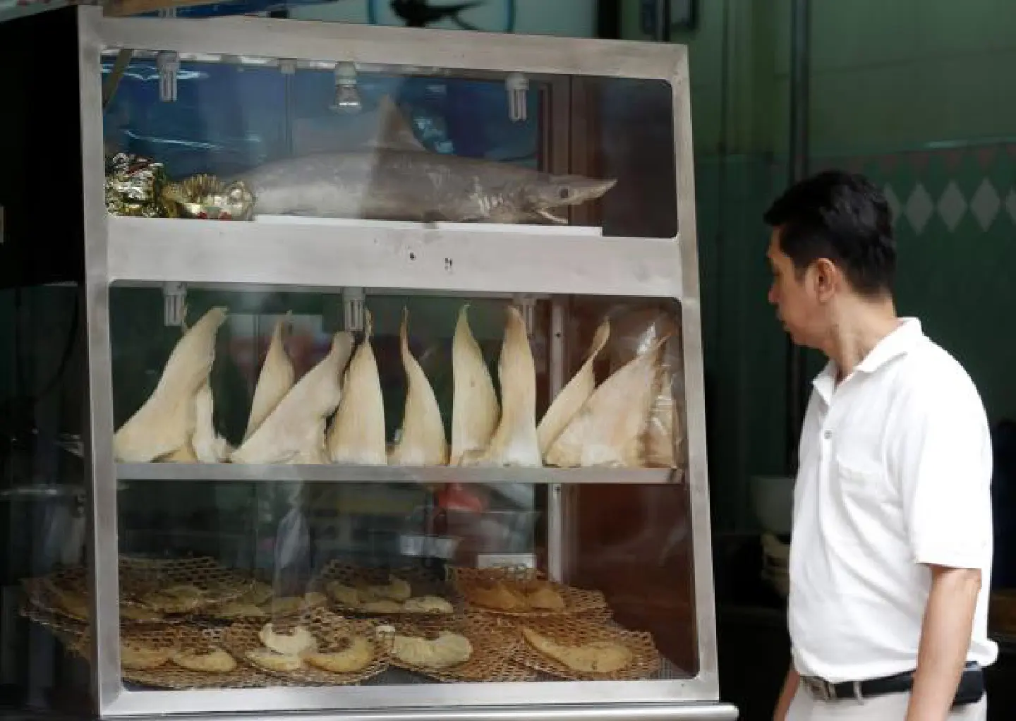 Thailand set to oppose protection of sharks and manta rays Thailand set to oppose protection of sharks and manta rays