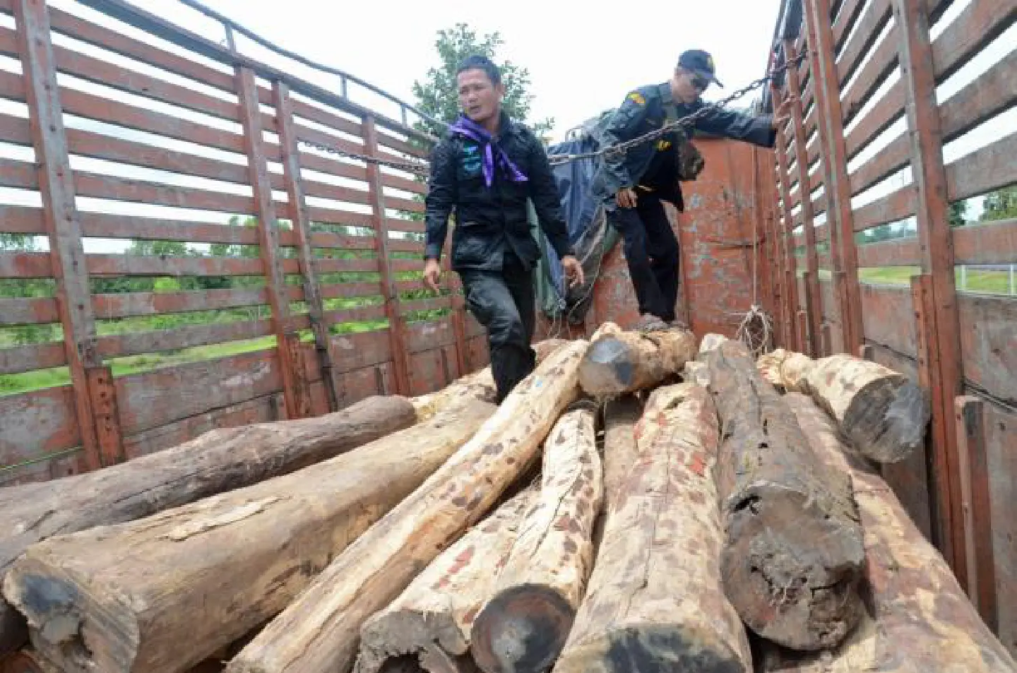 Rosewood wins CITES support and listing
