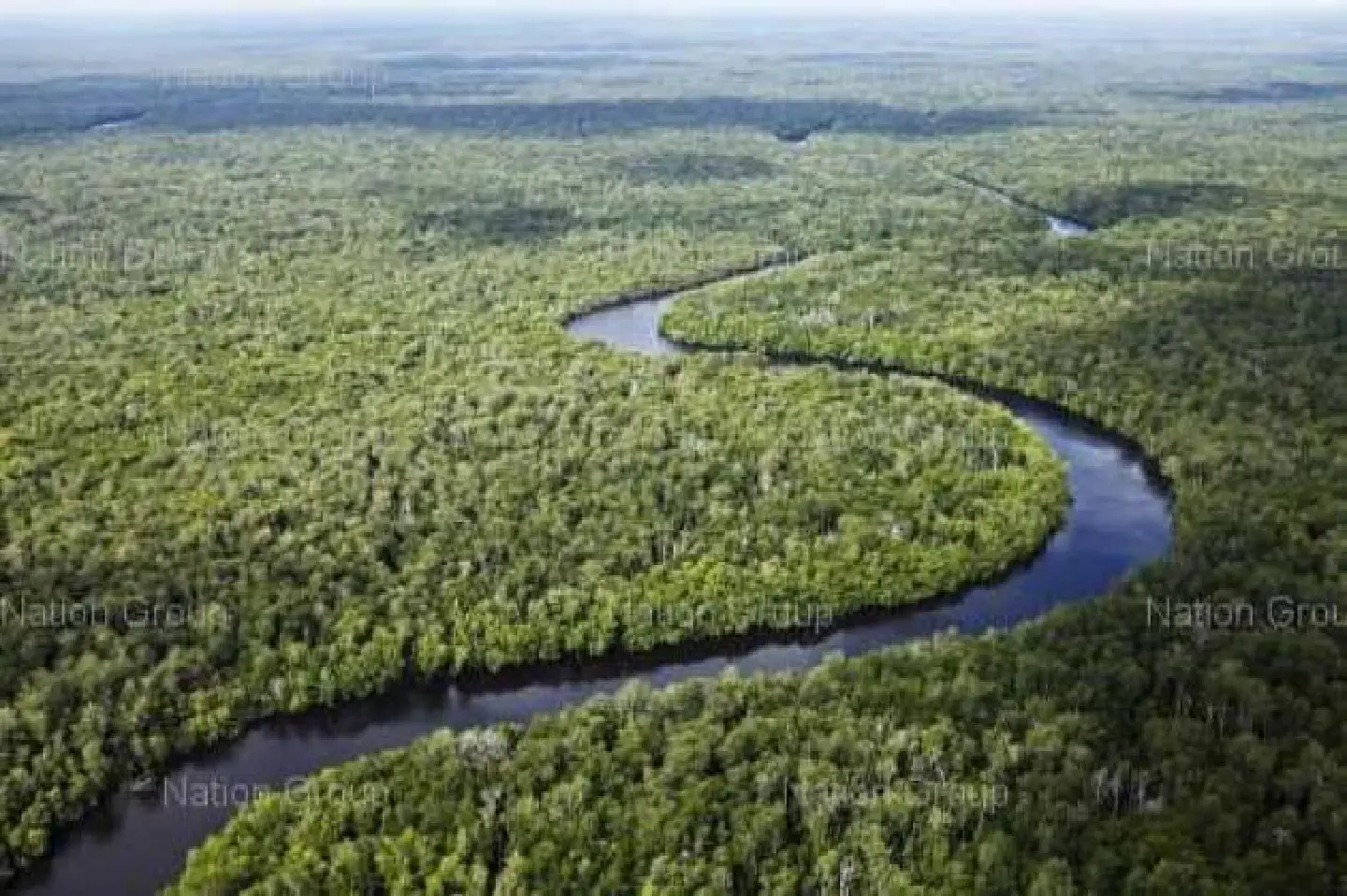 New phone app can help save forests, wildlife New phone app can help save forests, wildlife