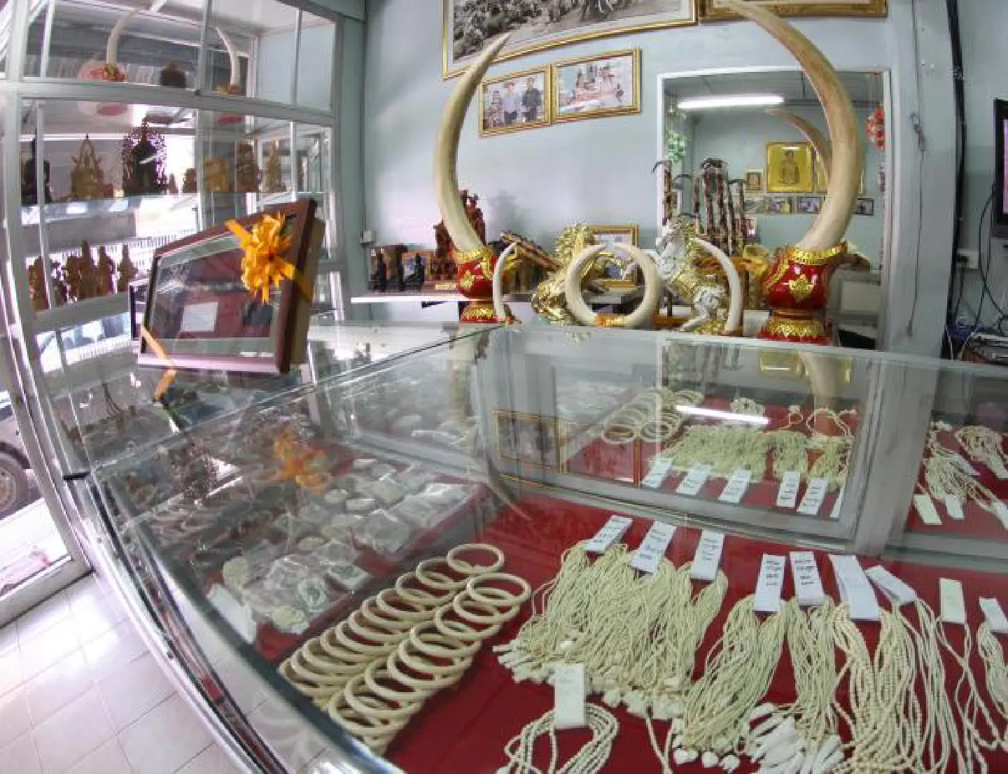Plan to register ivory items to stop slaying of elephants Plan to register ivory items to stop slaying of elephants