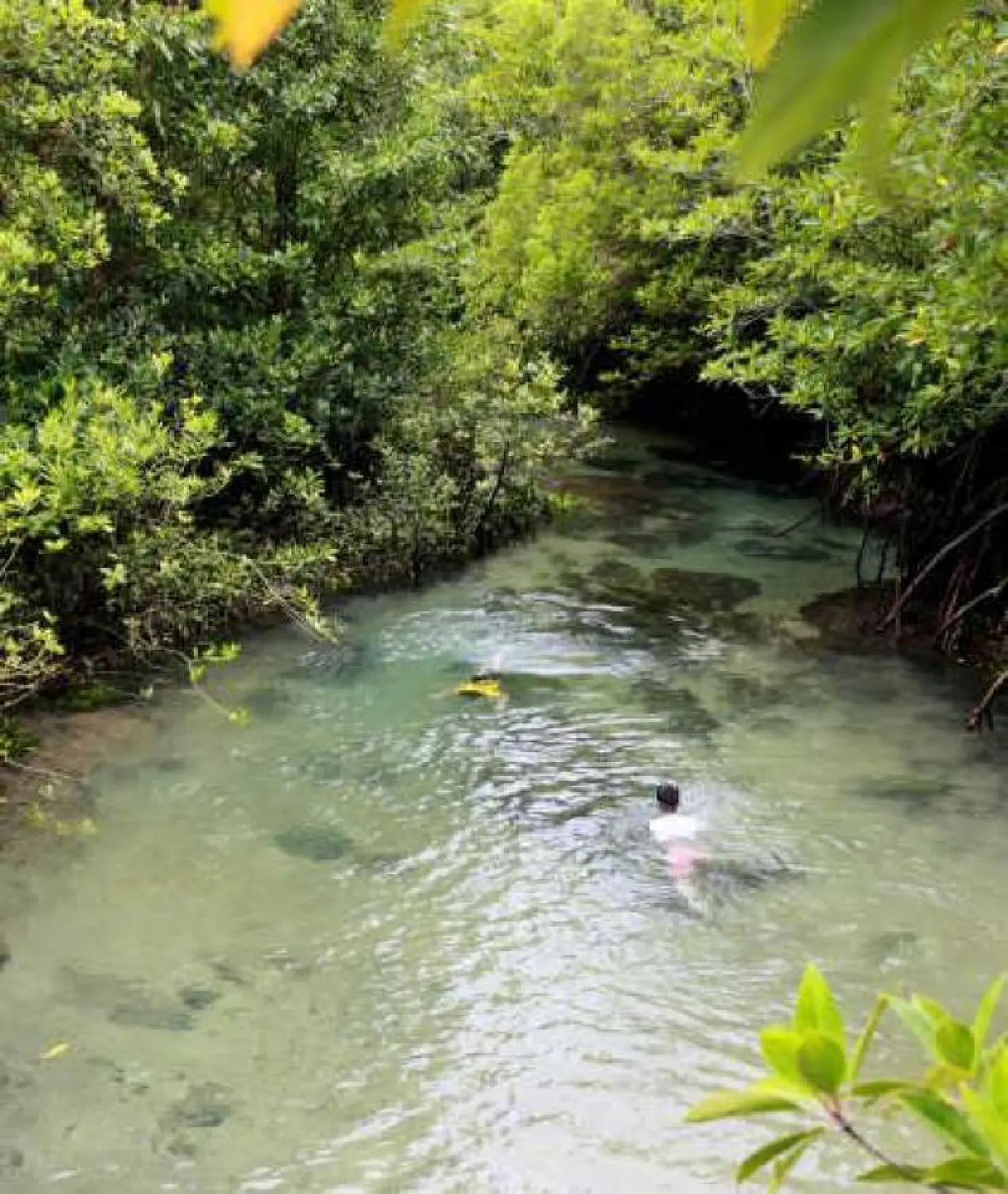 Care needed with Thai biodiversity Care needed with Thai biodiversity
