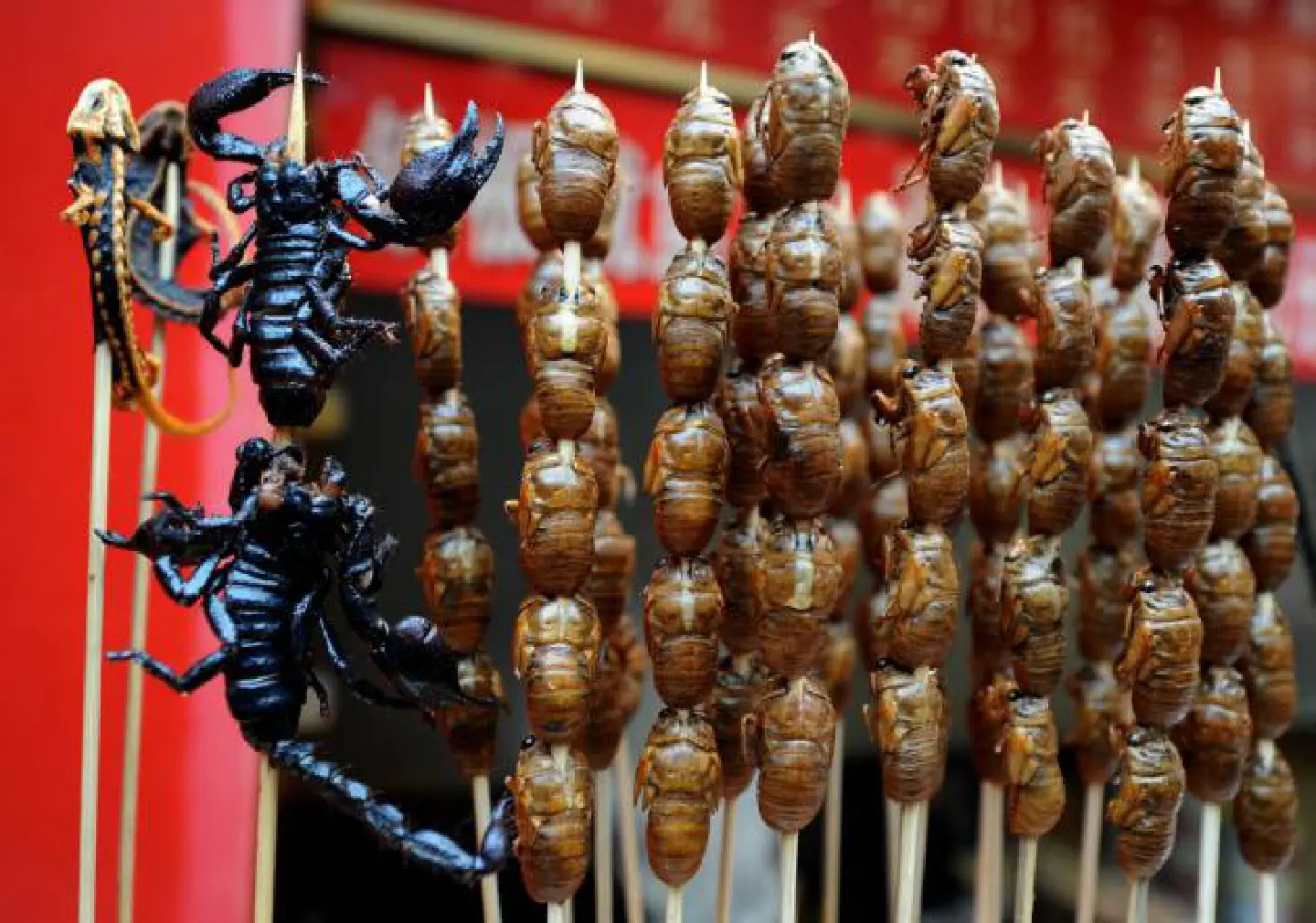 Laos holds finger-lickin' taste of our future