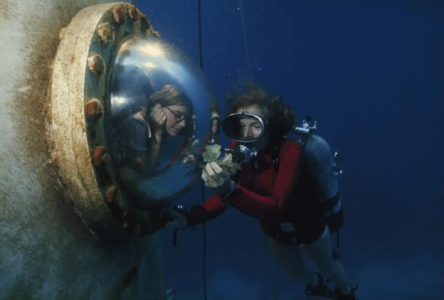 Nurturing the Big Blue Nurturing the Big Blue