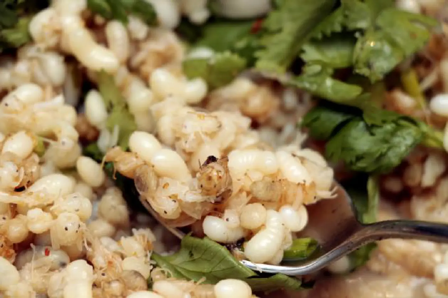 Protein with crunch Protein with crunch