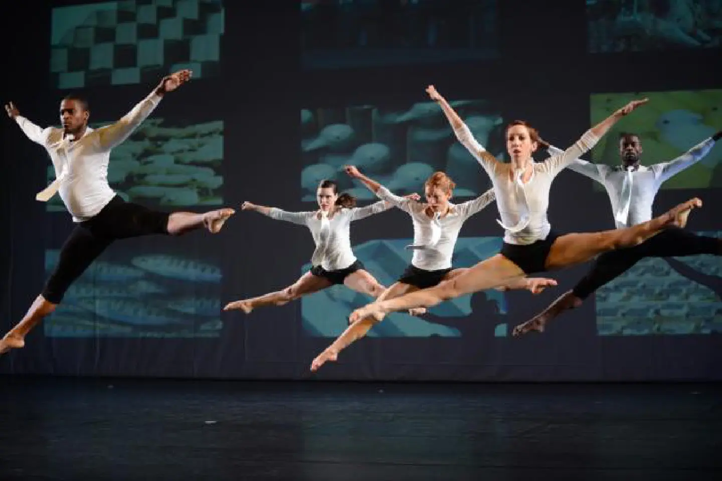 What Dance Can Do What Dance Can Do