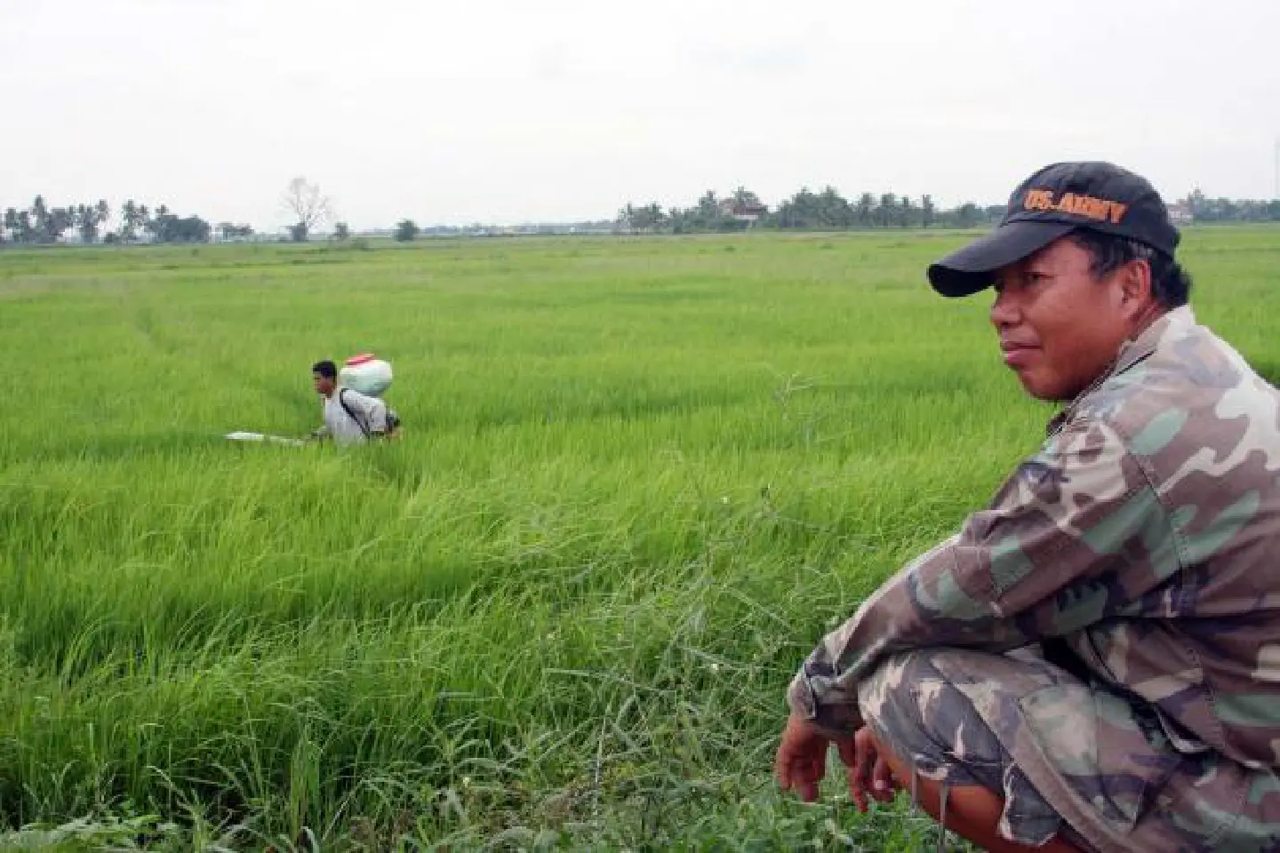 Farmers unimpressed by govt credit-card scheme Farmers unimpressed by govt credit-card scheme