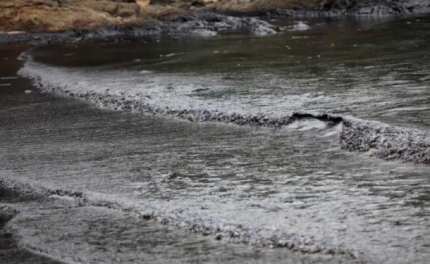 Caution urged over use of chemical dispersants Caution urged over use of chemical dispersants