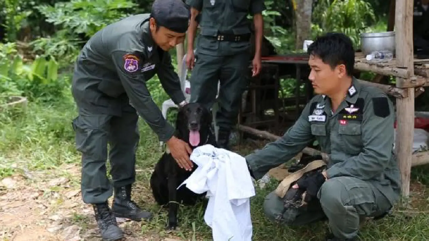 Another 86 Rohingya escape Another 86 Rohingya escape