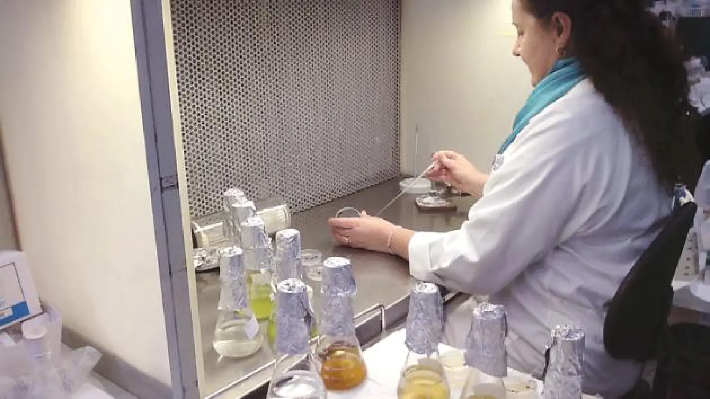 Thai firms at forefront of microalgae research