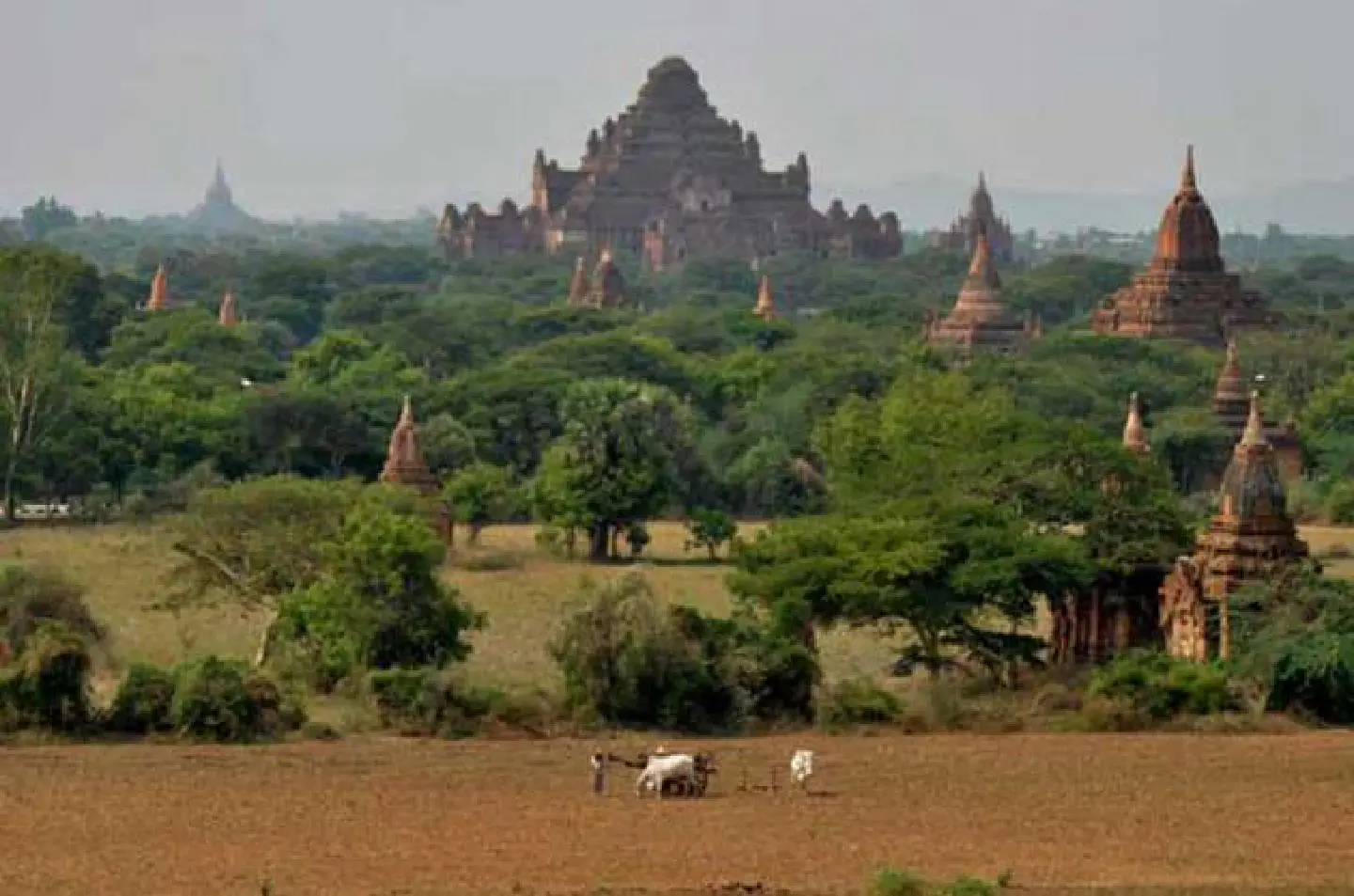Stirring ode to Bagan still inspires Stirring ode to Bagan still inspires