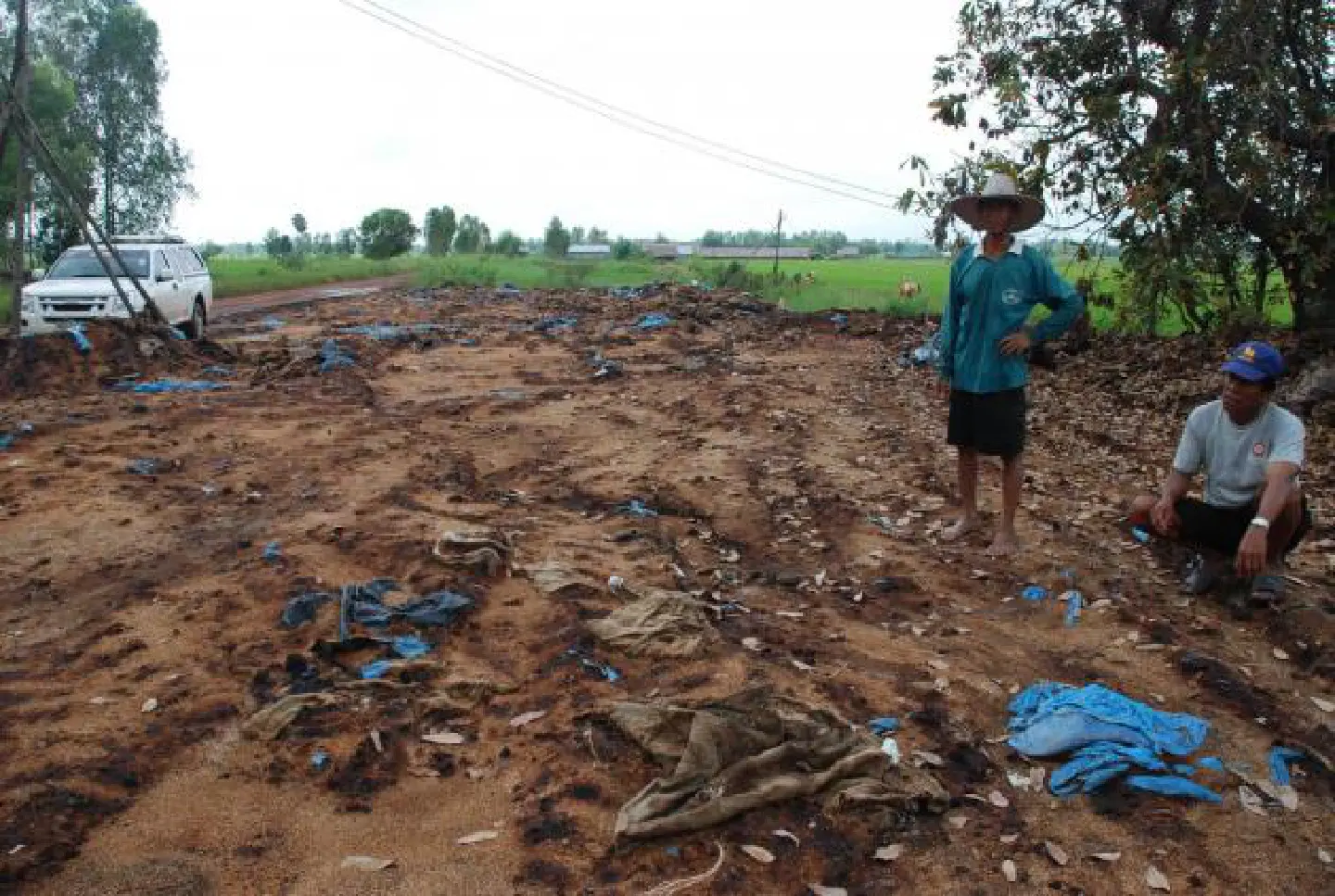 Fears  rice scheme ' will break budget'