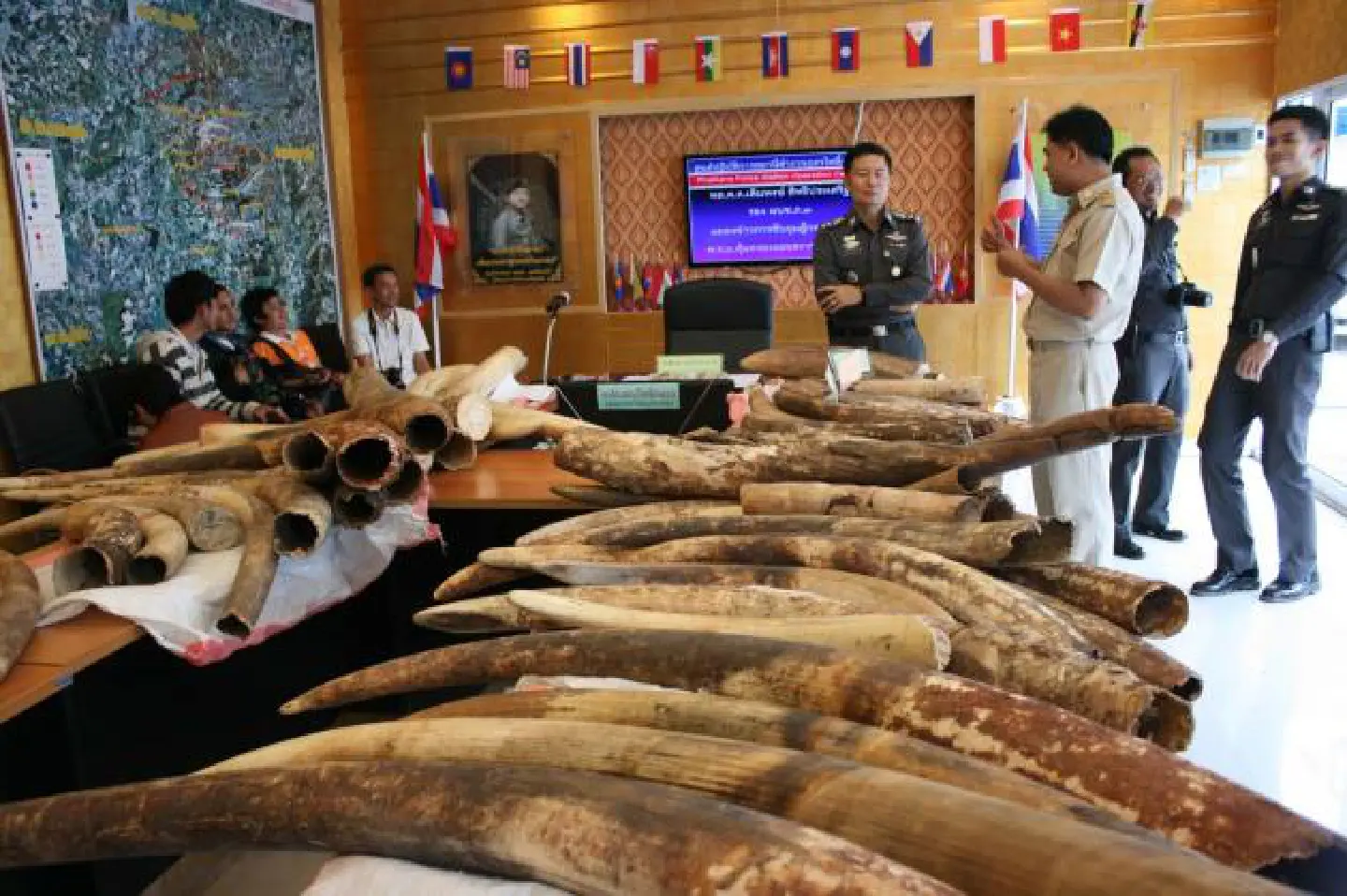 Elephant law change makes owners angry Elephant law change makes owners angry
