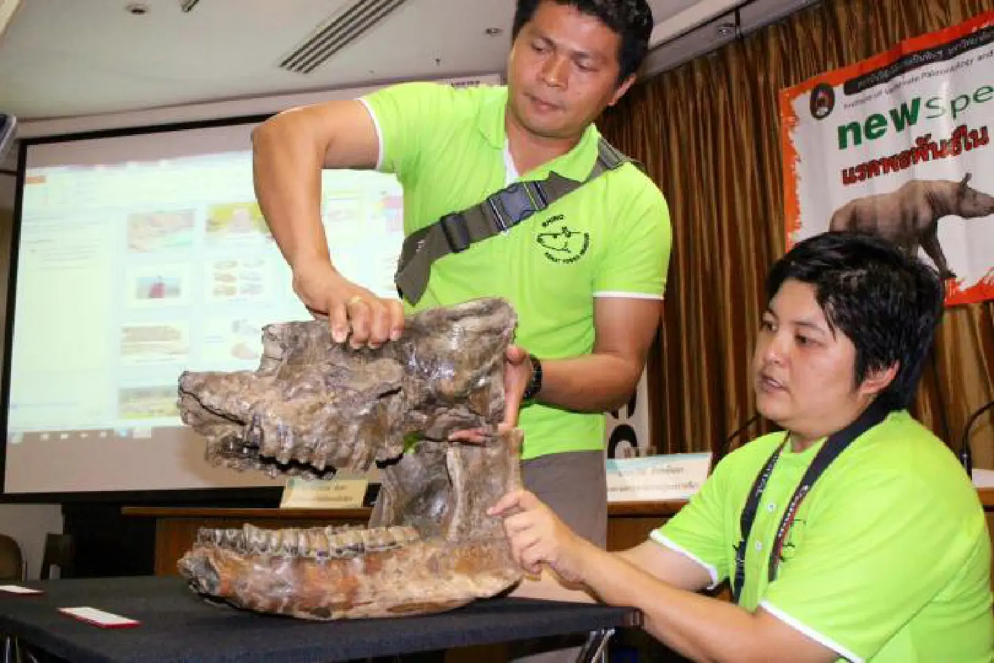 Hornless rhino fossil found in Nakhon Ratchasima village Hornless rhino fossil found in Nakhon Ratchasima village