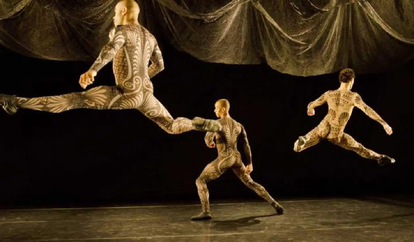 Exuberance embodied Exuberance embodied