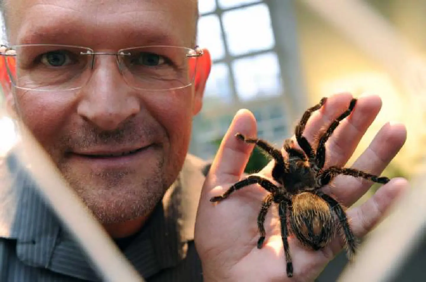 Making friends with arachnids Making friends with arachnids