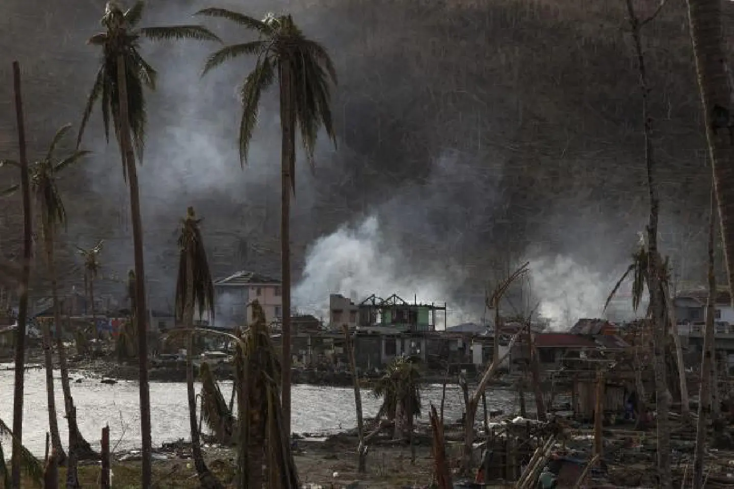 Activists call for worldwide efforts to cut CO2 emissions Activists call for worldwide efforts to cut CO2 emissions