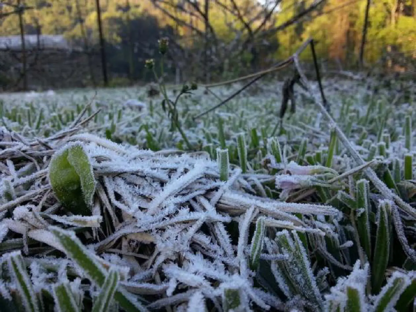 Snow claim kicks up storm among weathermen Snow claim kicks up storm among weathermen