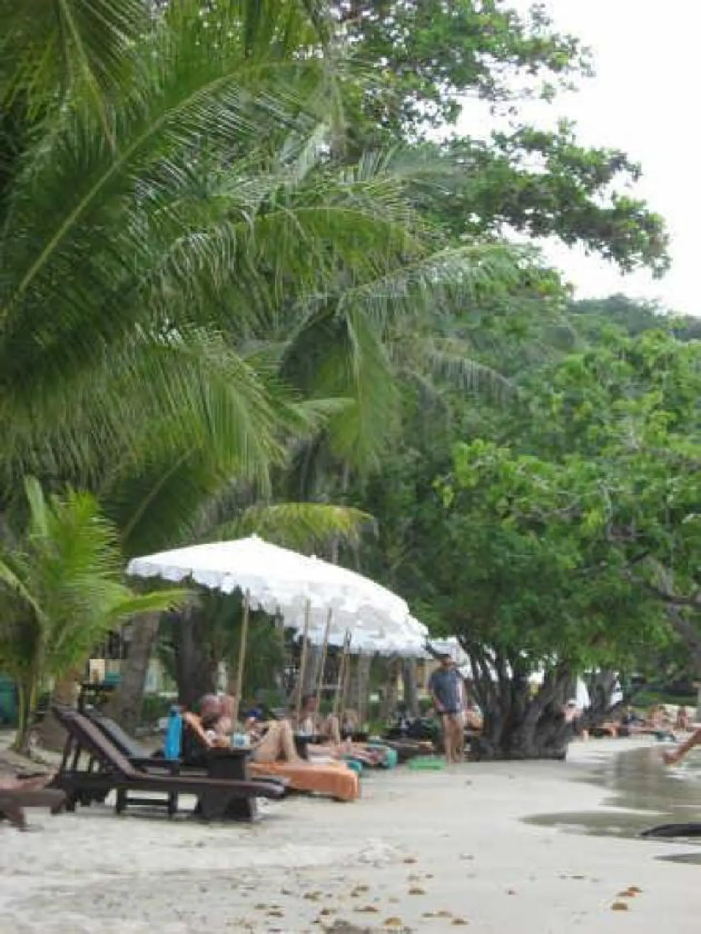 Call for bold tourism reform Call for bold tourism reform